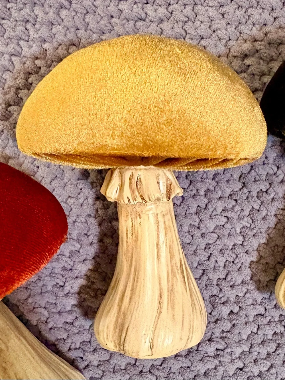 3 velvet top Fall mushrooms